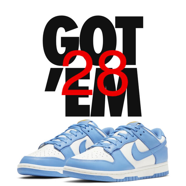 NIKE WMNS DUNK LOW  COAST 28cm 送料込み