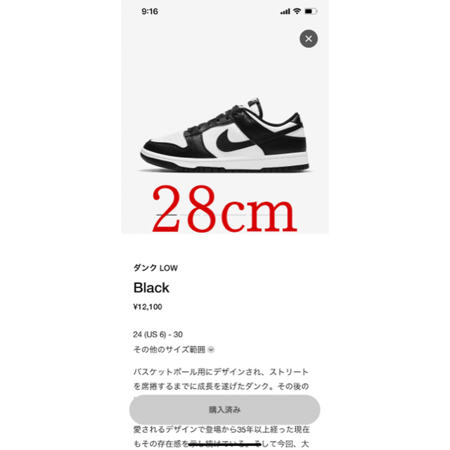 ダンクlow  BLACKnike