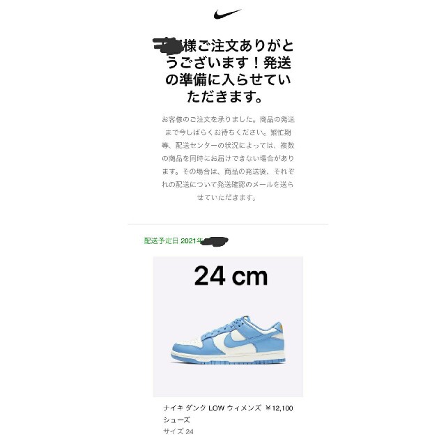 NIKE(ナイキ)のウィメンズ ダンク LOWCoast メンズの靴/シューズ(スニーカー)の商品写真