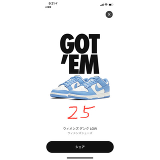 ナイキ(NIKE)のNike Dunk Low Coast women’s (スニーカー)