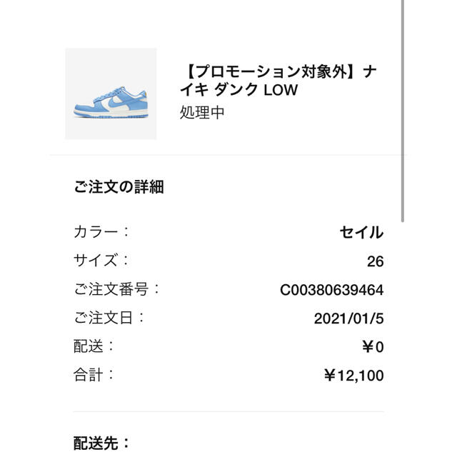 chichi2805様専用 NIKE ロー coast 超希少 26.0cm-