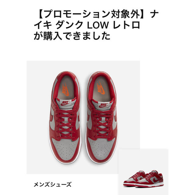 NIKE(ナイキ)のNIKE DUNK LOW "MEDIUM GREY" (UNLV) メンズの靴/シューズ(スニーカー)の商品写真