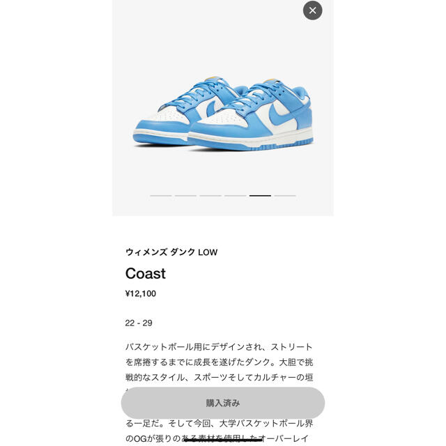 新品　NIKE DUNK LOW COAST ダンク ロー コースト