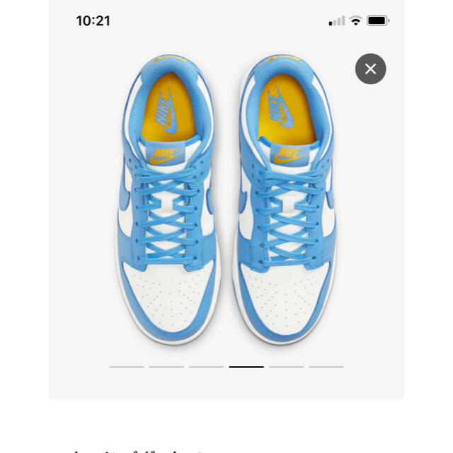 NIKE - 新品 NIKE DUNK LOW COAST ダンク ロー コーストの通販 by 主催