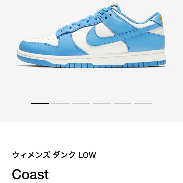 Nike Dunk Low 27.5cm