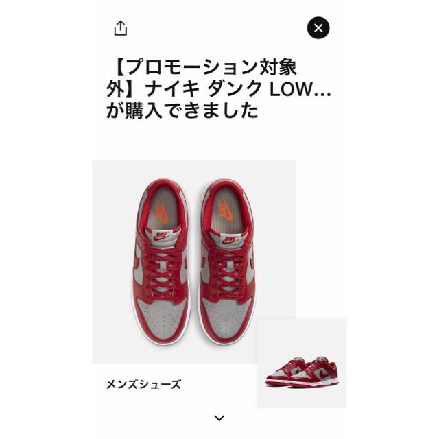 NIKE ダンク ロー DUNK LOW ミディアムグレー 28cm US10