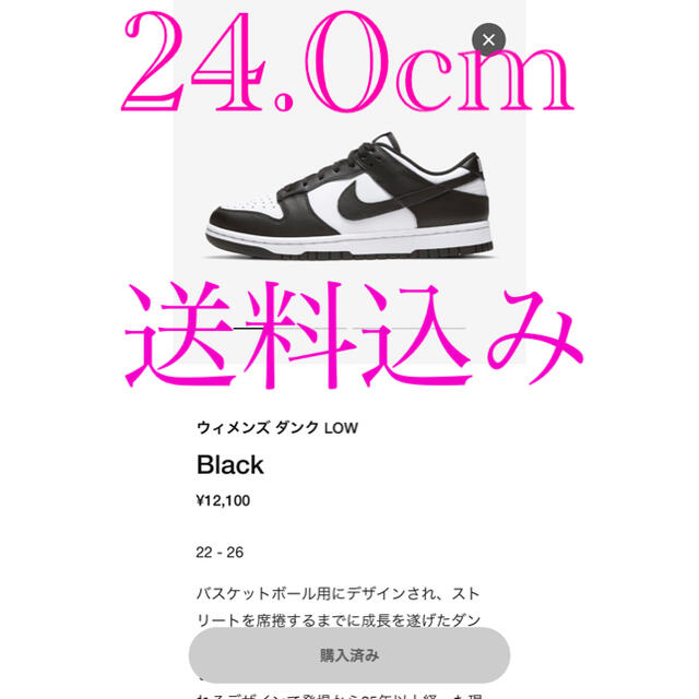 NIKE ダンクロー