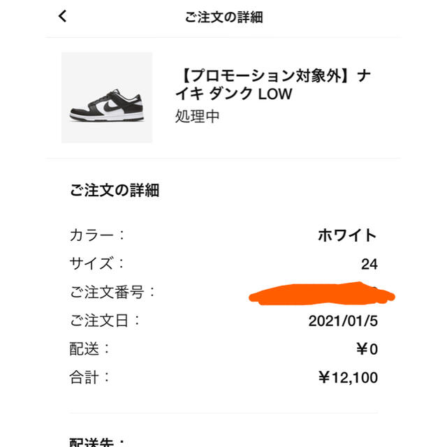 NIKE ダンクロー 1