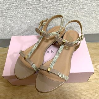 ダイアナ(DIANA)のDIANA ダイアナ　新品未使用サンダル(サンダル)