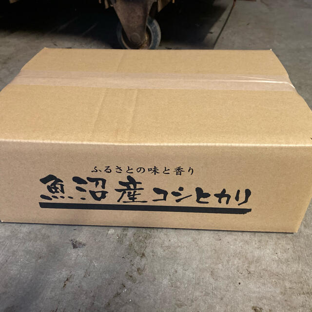 令和2年産　×2　新米魚沼産こしひかり　従来品種　10キロ　米/穀物