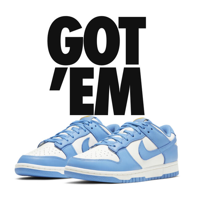 NIKE dunk coast 29cm