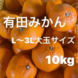 中生みかん訳あり　L〜3L大玉サイズ　10kg入り‼️(フルーツ)