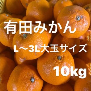 中生みかん訳あり　L〜3L大玉サイズ　10kg入り‼️(フルーツ)