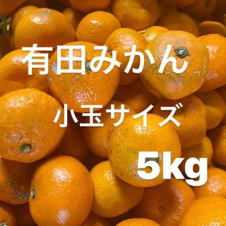 中生みかん訳あり　小玉サイズ　5kg入り‼️(フルーツ)