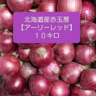 北海道産赤玉ねぎ【アーリーレッド】　Mサイズ　約１０キロ(野菜)