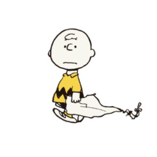 ピーナッツ(PEANUTS)の一月分　専用(キャラクターグッズ)