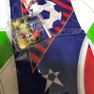 【新品★送料込】FC東京★ルヴァン優勝記念セット(記念品/関連グッズ)