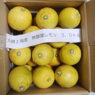 広島県大崎上島無農薬レモン　3.0kg(フルーツ)