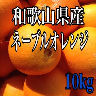 ネーブルオレンジ10kg(フルーツ)