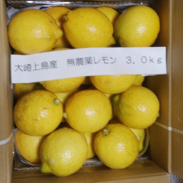 広島県大崎上島無農薬レモン　3.0kg 食品/飲料/酒の食品(フルーツ)の商品写真