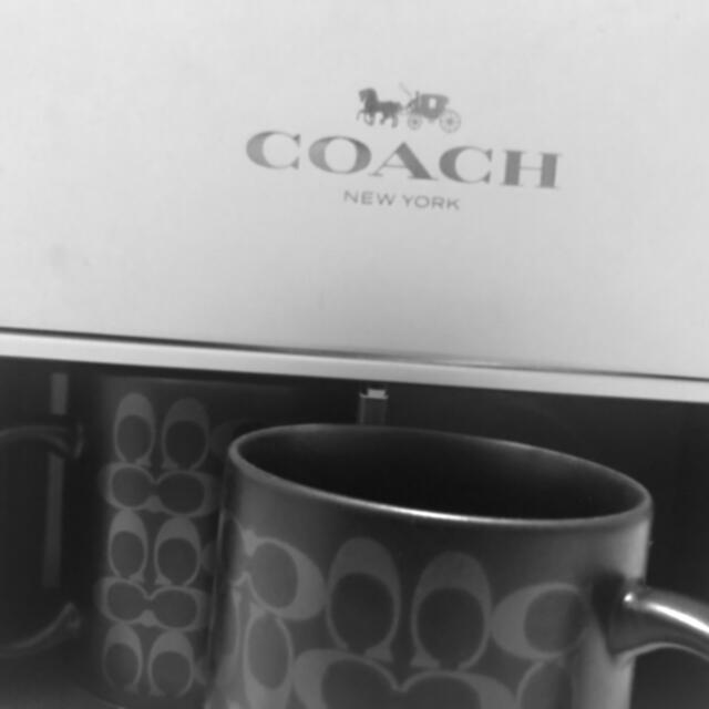 COACH(コーチ)のジャイアンツ　マグカップ　2017 coachコラボ キッズ/ベビー/マタニティの授乳/お食事用品(マグカップ)の商品写真