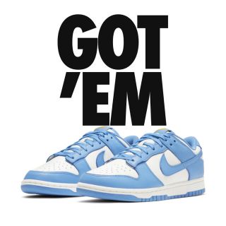 ナイキ(NIKE)のdunk Nike sb (スニーカー)