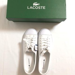 ラコステ(LACOSTE)の新品未使用　ラコステ　靴　スニーカー　白　ホワイト　ユニセックス　(スニーカー)