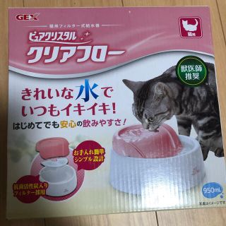 猫　給水器　(猫)