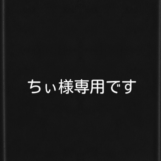 携帯用ゲーム機本体Nintendo Switch Lite あつまれどうぶつの森　美品セット