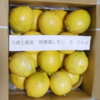 広島県大崎上島無農薬レモン　3.0kg(フルーツ)