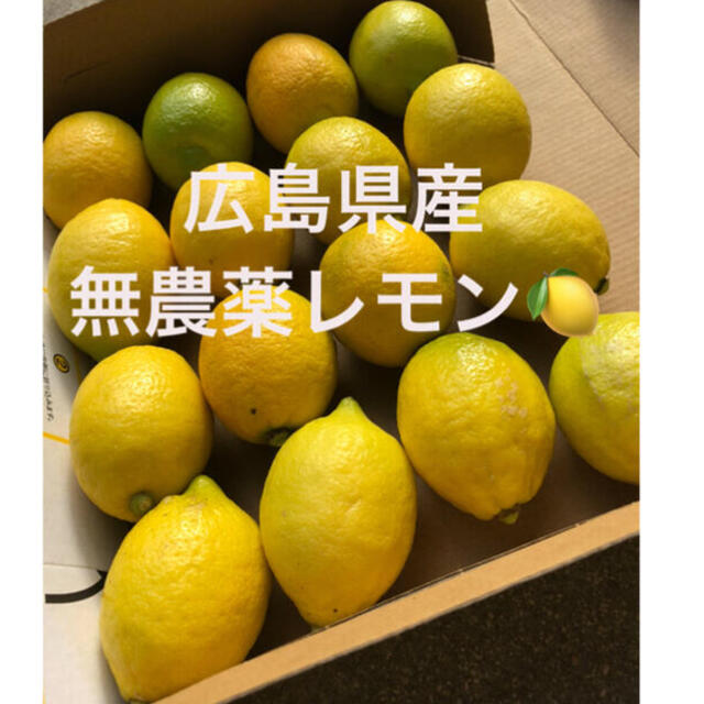 広島県産　無農薬　レモン　国産　レモン　産地直送　送料無料 食品/飲料/酒の食品(フルーツ)の商品写真