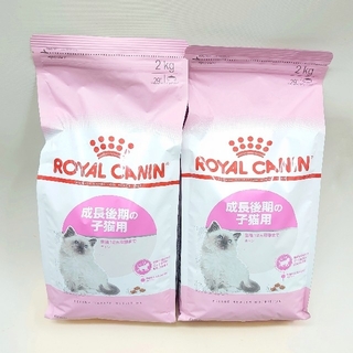ROYAL CANIN - ロイヤルカナン キトン 成長後期の子猫用 2kg×2の通販｜ラクマ