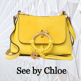 シーバイクロエ(SEE BY CHLOE)の★SALE☆【See by Chloe】ジョーン ミニ クロスボディ バッグ(ショルダーバッグ)