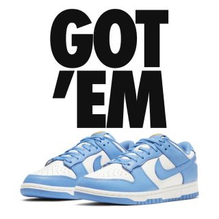 ナイキ(NIKE)のNIKE DUNK LOW SB(スケートボード)