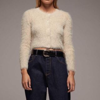 ザラ(ZARA)の完売品　美品(ニット/セーター)