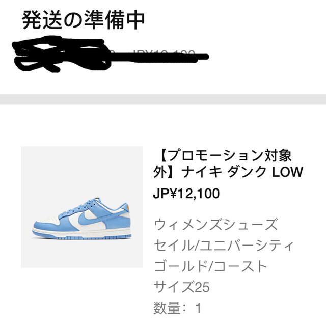 新品　NIKE DUNK LOW COAST ダンク ロー コースト