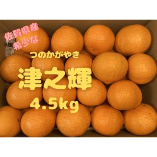 【奥羽チャッペ様専用】みかん　つのかがやき　10kg　佐賀県　唐津産　ミカン(フルーツ)