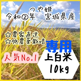 ☆専用品【農家直送】宮城県産つや姫　上白米10kg【送料無料】(米/穀物)