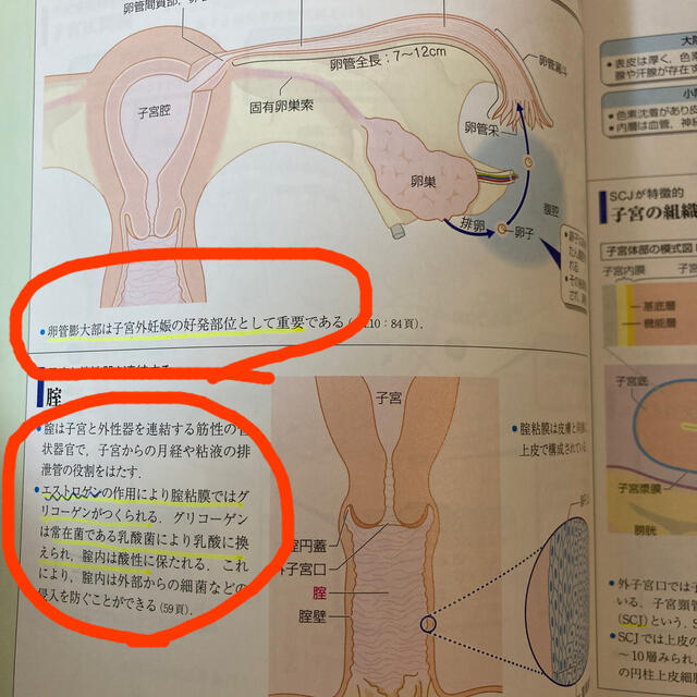 病気がみえる ｖｏｌ．９ 第２版 エンタメ/ホビーの本(その他)の商品写真