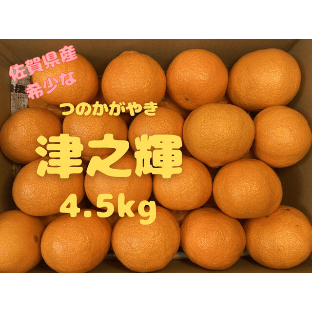 みかん　つのかがやき　4.5kg　佐賀県　唐津産　ミカン 食品/飲料/酒の食品(フルーツ)の商品写真