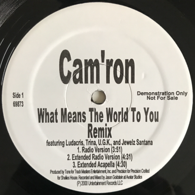 Cam'ron-What Means The World To You Rmx