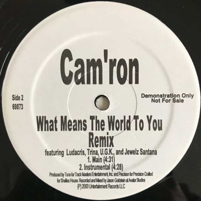 Cam'ron-What Means The World To You Rmx