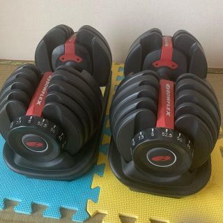 Bowflex セレクトテックダンベル552 2本セット(トレーニング用品)