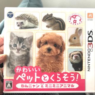 ニンテンドー3DS(ニンテンドー3DS)のかわいいペットとくらそう！ わんニャン＆ミニミニアニマル 3DS(携帯用ゲームソフト)