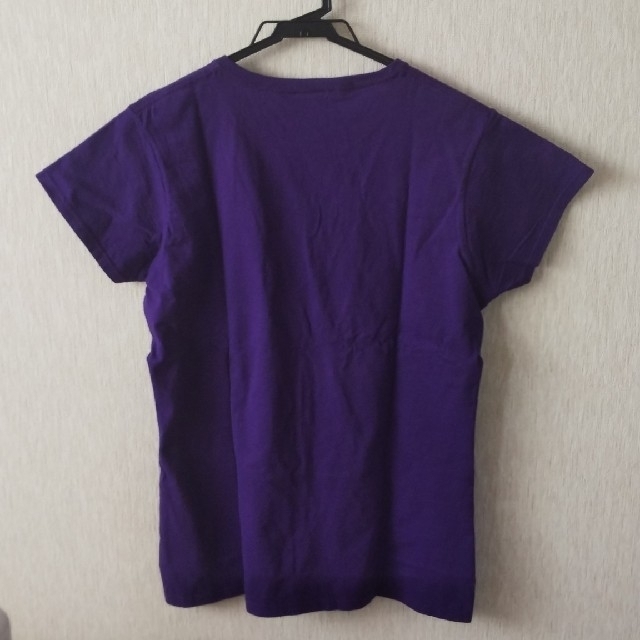 ANNA SUI(アナスイ)のアナスイ Tシャツ Lサイズ レディースのトップス(Tシャツ(半袖/袖なし))の商品写真