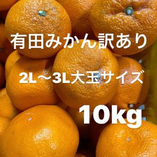 早生みかん訳あり　2L〜3L大玉サイズ　10kg入り‼️(フルーツ)