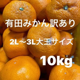 早生みかん訳あり　2L〜3L大玉サイズ　10kg入り‼️(フルーツ)