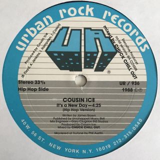 Cousin Ice - It's A New Day(ヒップホップ/ラップ)