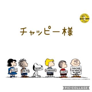 チャッピー様専用**タッセルキーホルダー*カラフル《アフロ