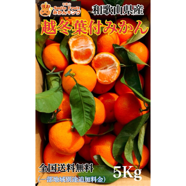 地域限定　越冬葉付みかん　5キロ　みかんキング